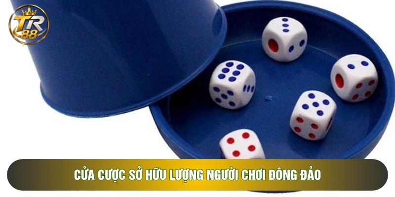 Cửa cược sở hữu lượng người chơi đông đảo Cửa cược sở hữu lượng người chơi đông đảo