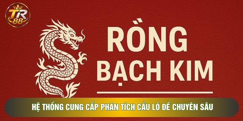 Hệ thống cung cấp phân tích cầu lô đề chuyên sâu