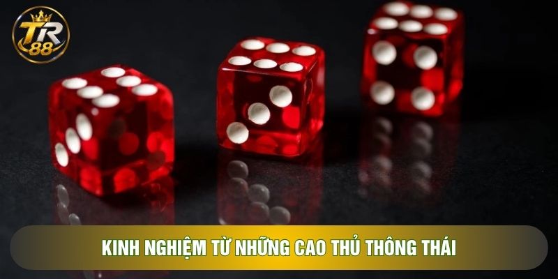 Kinh nghiệm từ những cao thủ thông thái Kinh nghiệm từ những cao thủ thông thái