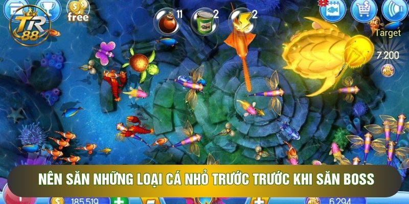 Nên săn những loại cá nhỏ trước trước khi săn boss Nên săn những loại cá nhỏ trước trước khi săn boss