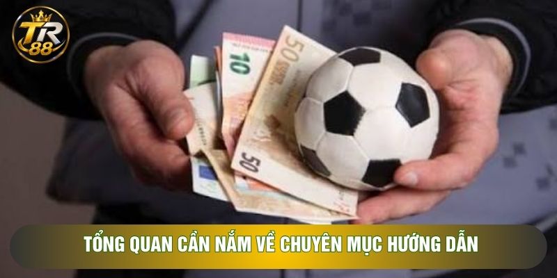 Tổng quan cần nắm về chuyên mục hướng dẫn Tổng quan cần nắm về chuyên mục hướng dẫn